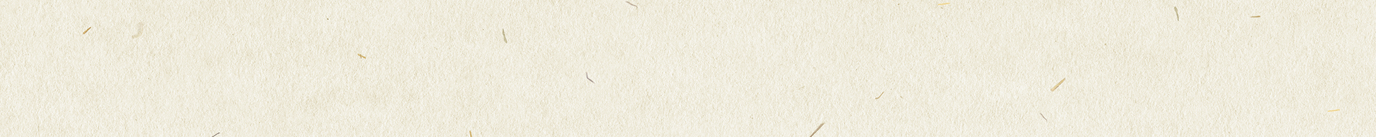 プライバシーポリシー